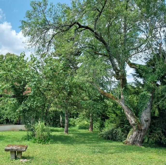 Вилла Magical Mellecey Экстерьер фото